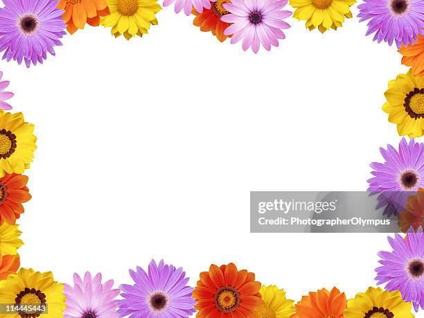 Spring Flower Frame Xxxl High-Res Stock Photo - Getty Images