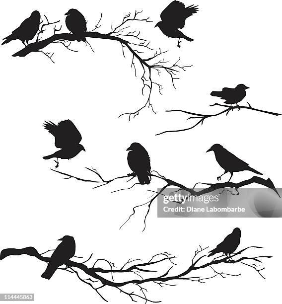 black silhouette crows perched on branches of various lengths - crow bird 幅插畫檔、美工圖案、卡通及圖標