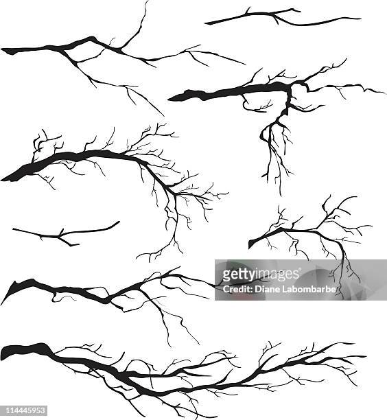 illustrazioni stock, clip art, cartoni animati e icone di tendenza di un assortimento di albero spoglio isolato rami modelli - albero
