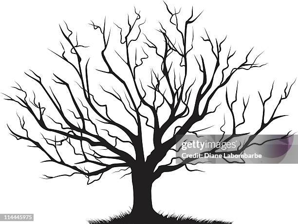 deciduous bare tree empty branches black silhouette - bare tree branches stock illustrations