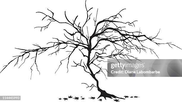 stockillustraties, clipart, cartoons en iconen met dead tree - kale boom