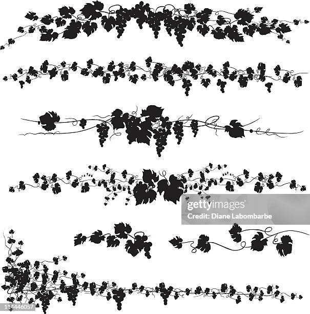 stilisierte schwarz reih seite trennwände swag silhouetten - rankenpflanze stock-grafiken, -clipart, -cartoons und -symbole