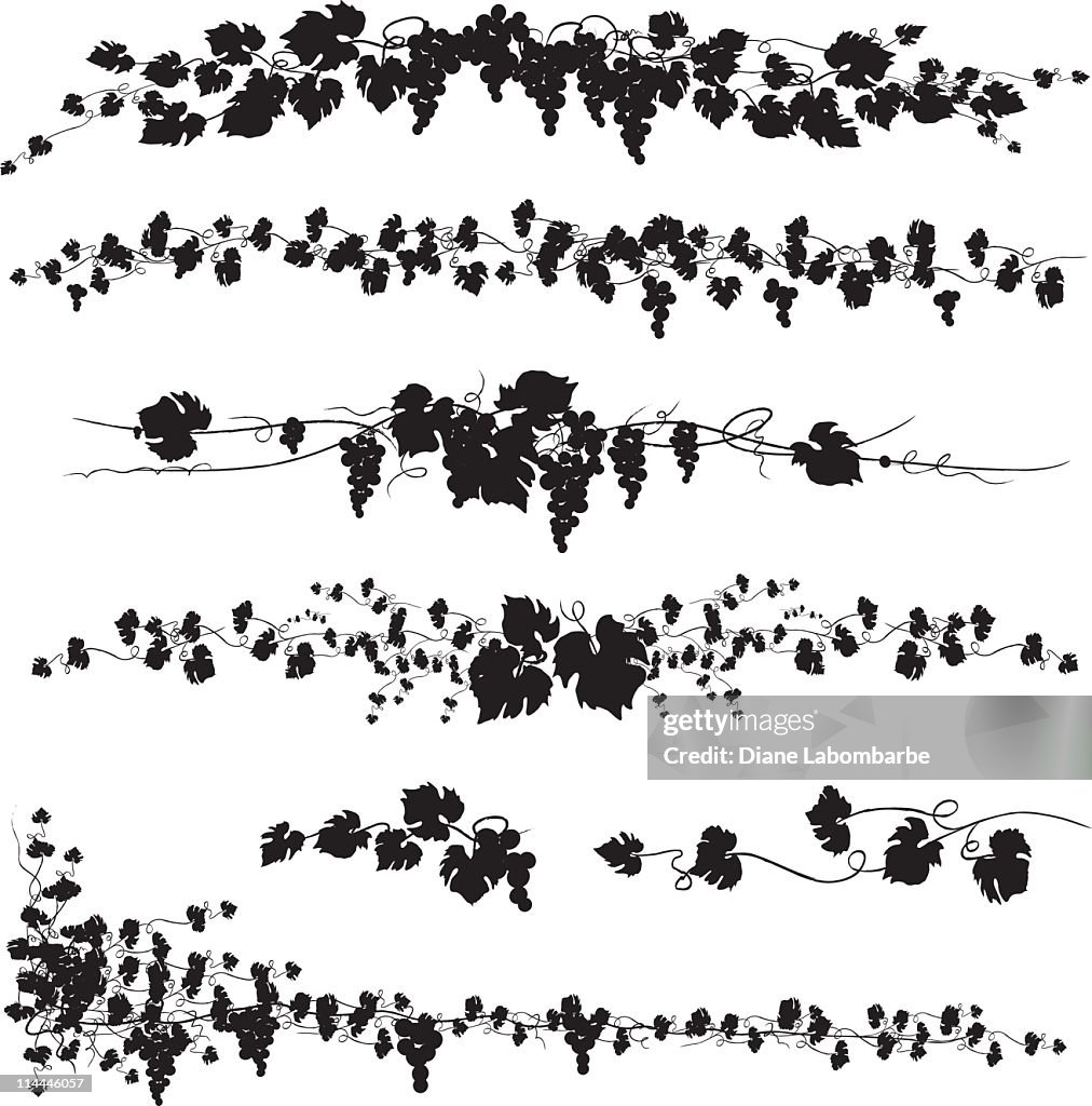 Stylized Black Grapevines page dividers swag silhouettes