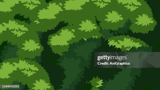 ilustrações de stock, clip art, desenhos animados e ícones de tree leaves pattern - top