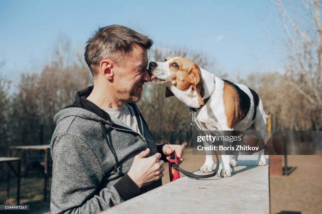 Man and beagle