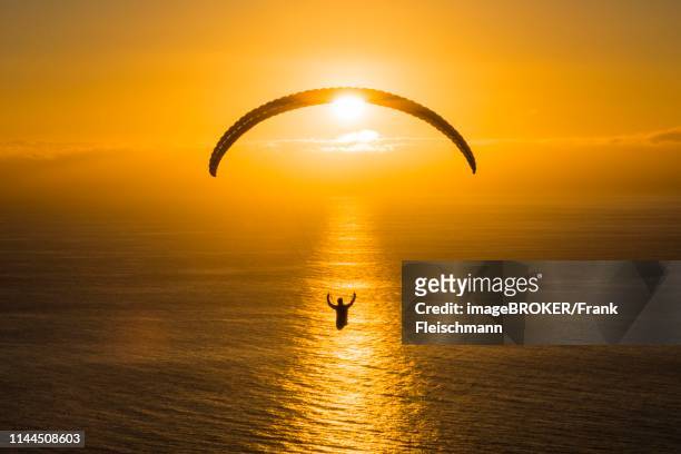 paraglider over the atlantic near puerto naos during sunset, canary island la palma, spain - paragliding fotografías e imágenes de stock