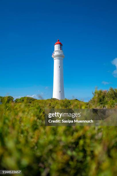 cape otway lightstation - melbourne parkland stock pictures, royalty-free photos & images