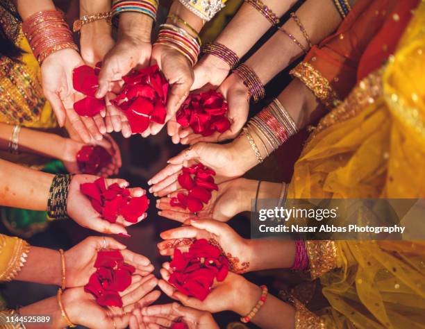 Top view of rose petals in hands.