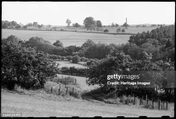 Memorial column near Lemmington Hall, Edlingham, Northumberland, circa 1955-c1980. A distant view of the column around 400m south of Lemmington Hall...