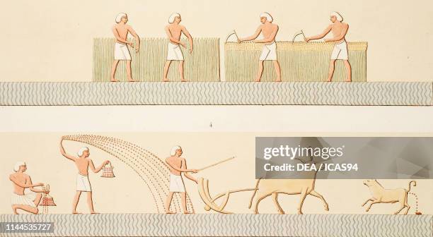 Plowing, sowing and harvesting, mural painting, Tomb KV9, Valley of the Kings , Theban Necropolis, Luxor, Egypt, coloured engraving by Monsaldy e...