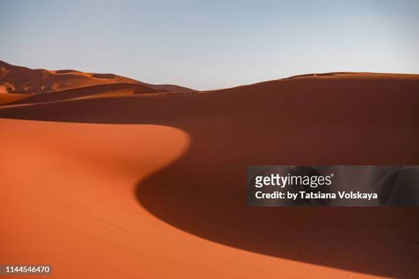 sand dune with graceful shadow - erg chebbi desert stock pictures, royalty-free photos & images