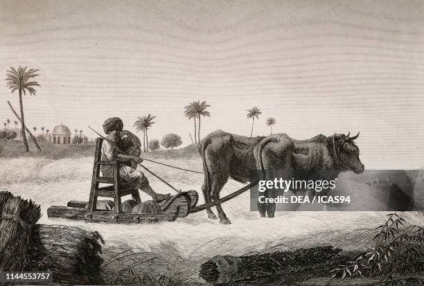 Seed beating machine, Egypt, engraving from Description de l'Egypte, ou Recueil des observations et des recherches qui ont ete faites en Egypte...