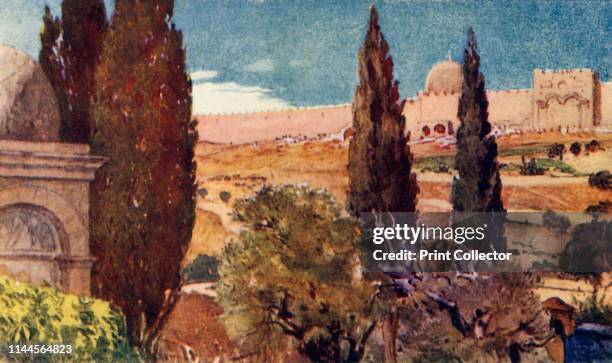 The Cypresses of the Garden of Gethsemane', 1902. At the foot of the Mount of Olives in Jerusalem. In Christianity, it is the place where Jesus...