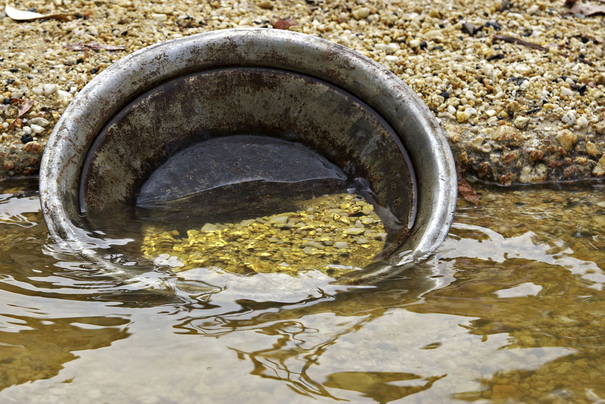 gold nugget search