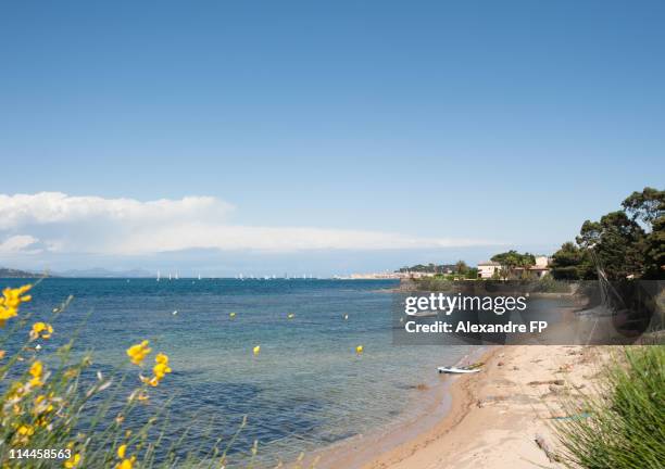 beach at golfe de st, tropez - saint tropez beach stock pictures, royalty-free photos & images