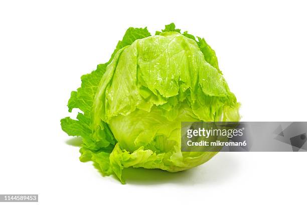 iceberg lettuce - lettuce stock pictures, royalty-free photos & images