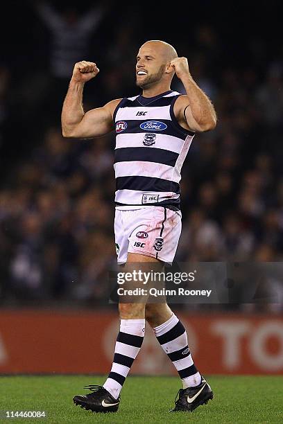 Paul Chapman of the Cats celebrates winning the round nine AFL match between the Carlton Blues and the Geelong Cats at Etihad Stadium on May 20, 2011...