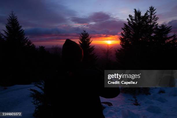 nature - première lueur matinale sur le massif des cévennes, en hiver. - lozere bildbanksfoton och bilder