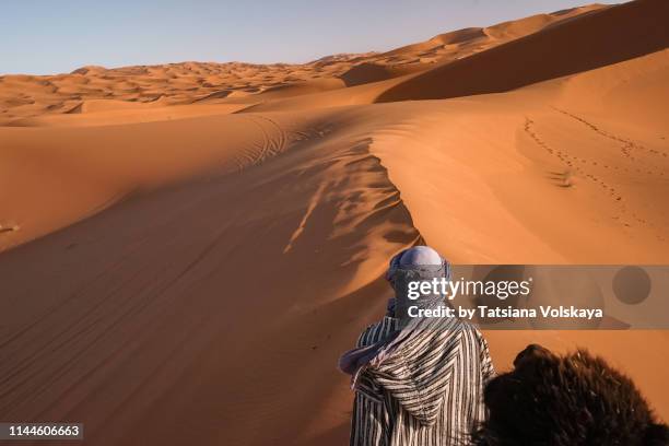 tuareg with his camel, morocco, africa - tuareg stock pictures, royalty-free photos & images