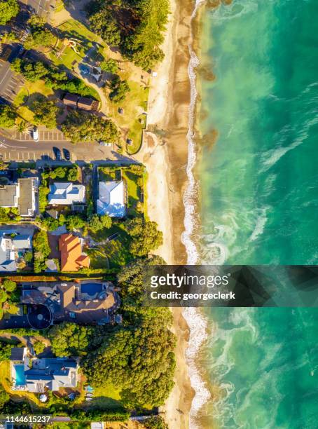aerial view of idyllic beachside homes - auckland stock pictures, royalty-free photos & images