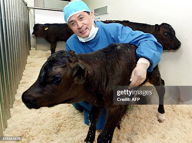 OUTSeoul National University professor Hwang Woo-Sok hugs a cloned cow genetically modified to resist mad cow disease, in his research center in...