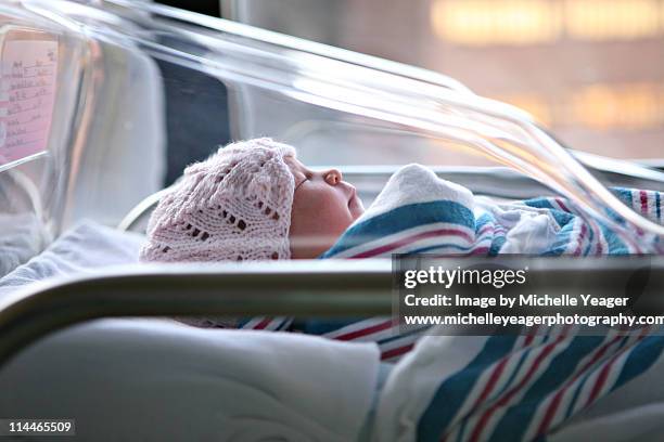 newborn baby in hospital bassinet. - hospital cot stock pictures, royalty-free photos & images