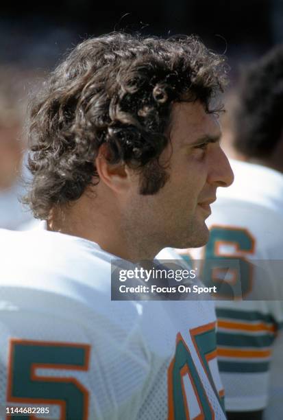 Nick Buoniconti of the Miami Dolphins looks on from the sidelines during an NFL football game circa 1972 at the Orange Bowl, in Miami, Florida....