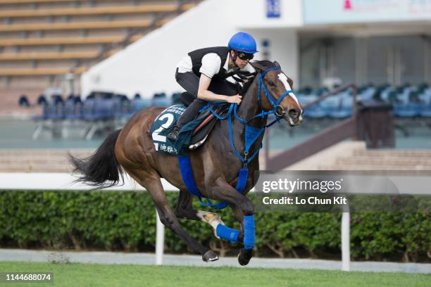 Jockey Yutaka Take riding Japanese horse Deirdre works on the turf track at Sha Tin Racecourse on April 24, 2019 in Hong Kong.