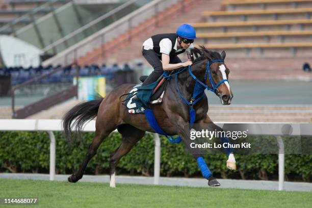 Jockey Yutaka Take riding Japanese horse Deirdre works on the turf track at Sha Tin Racecourse on April 24, 2019 in Hong Kong.