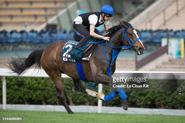 Jockey Yutaka Take riding Japanese horse Deirdre works on the turf track at Sha Tin Racecourse on April 24, 2019 in Hong Kong.