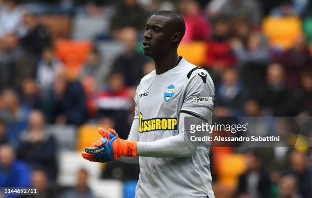 Alfred Gomis of Spal in action during the Serie A match between Udinese and SPAL at Friuli Stadium on May 18, 2019 in Udine, Italy.