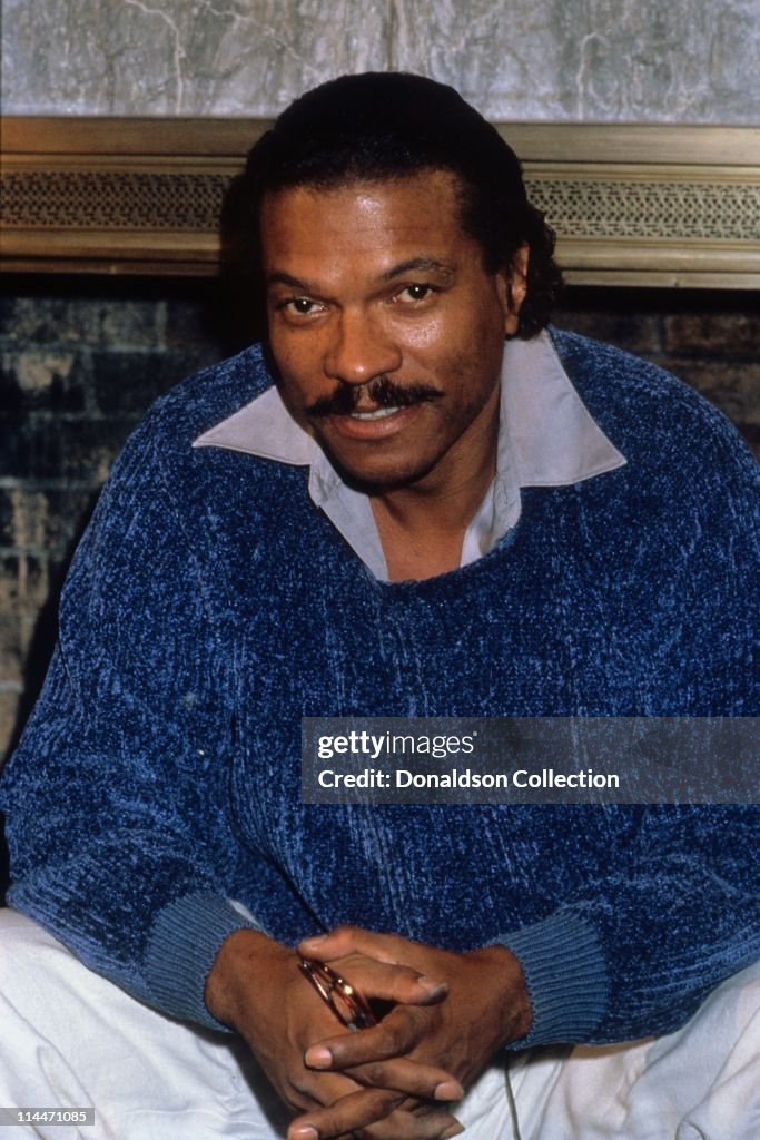 Billy Dee Williams Portrait