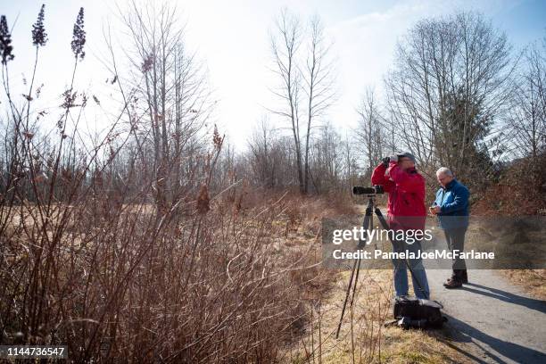 bird photographers, senior man using binoculars, mature man checking compass - north vancouver stock pictures, royalty-free photos & images