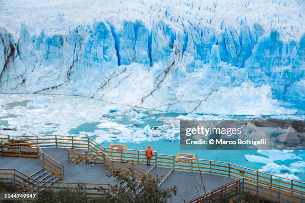 tourist admiring the perito moreno glacier - エルカラファテ ストックフォトと画像