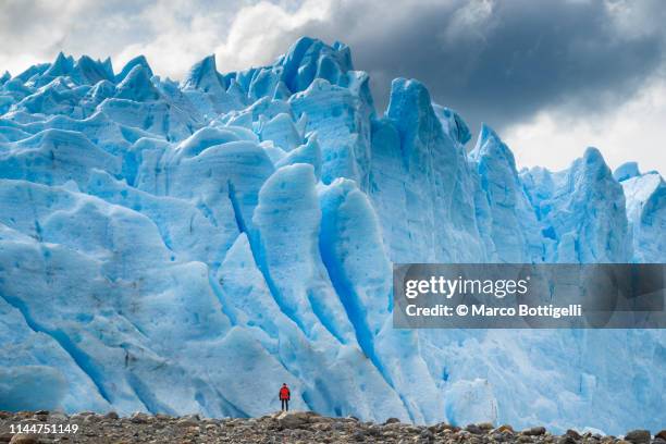 tourist standing at the foot of perito moreno glacier, argentina - エルカラファテ ストックフォトと画像