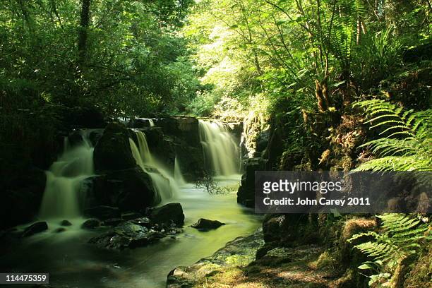 clare glens, newport, co tipperary - clare stock pictures, royalty-free photos & images