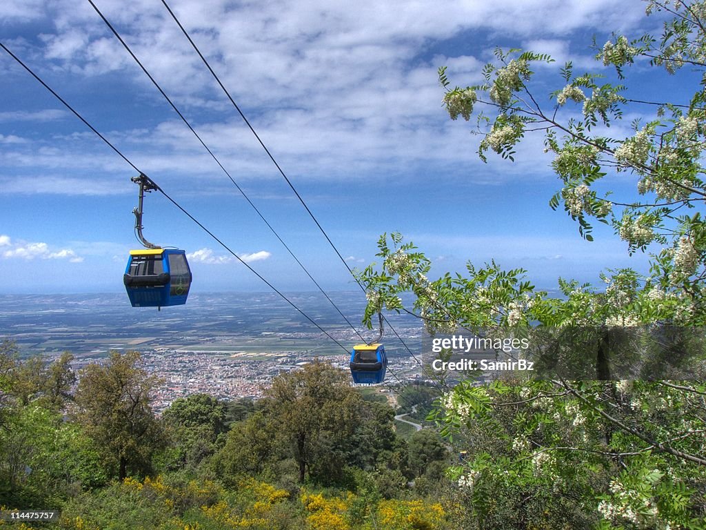 Chréa ,Blida, Algeria