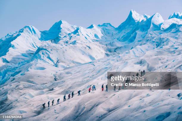 people hiking on the perito moreno glacier, argentina - el calafate stockfoto's en -beelden
