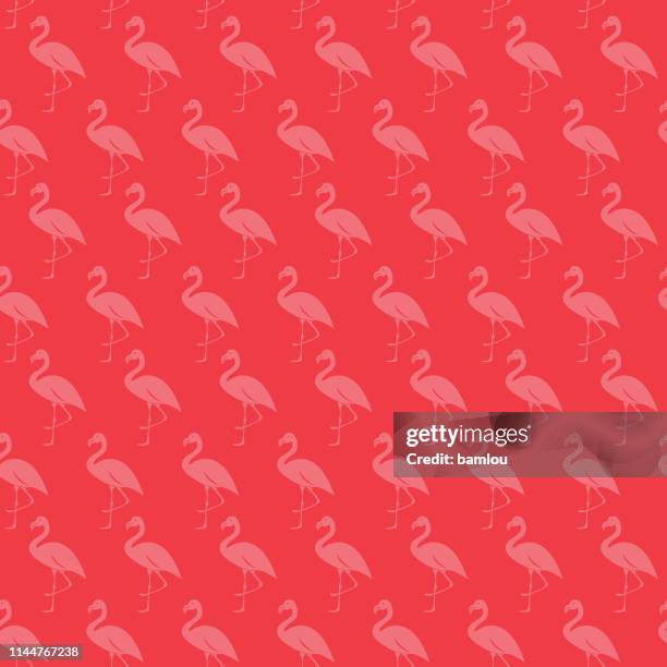 hintergrund flamingo seamless pattern - legs apart stock-grafiken, -clipart, -cartoons und -symbole