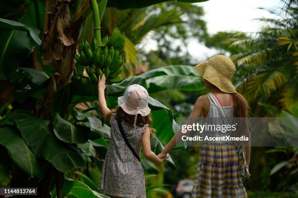 family vacation in a tropical climate - arenal volcano national park stock pictures, royalty-free photos & images