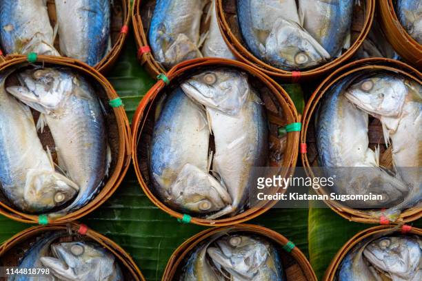 mackerel fresh fish in the market at samut songkhram, thailand - south stand fotografías e imágenes de stock