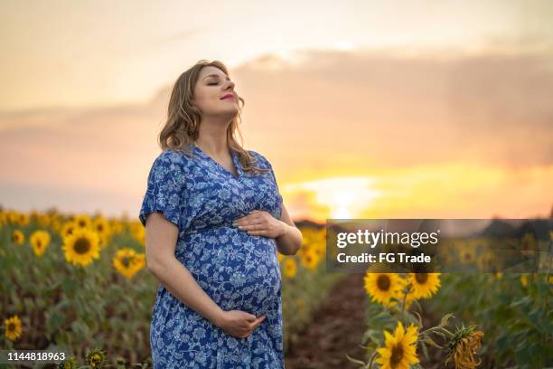 portrait of a pregnant woman enjoying the sunflower field before arriving the new baby - flower still life stock pictures, royalty-free photos & images