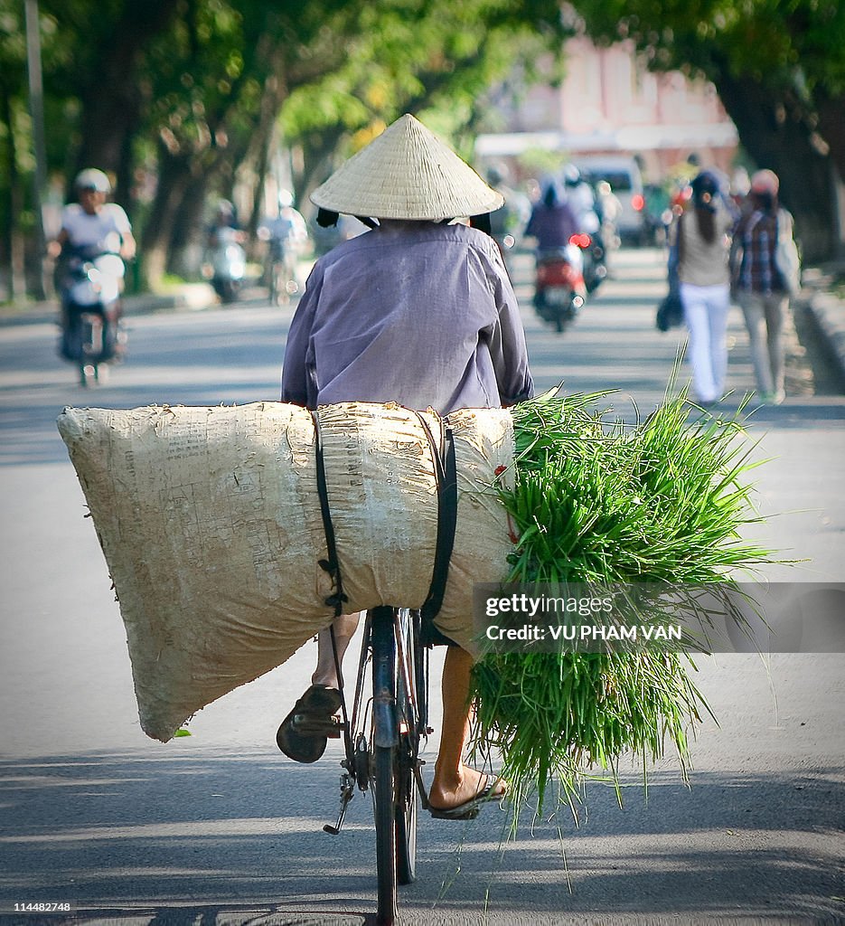 Old man loading grass on his bike