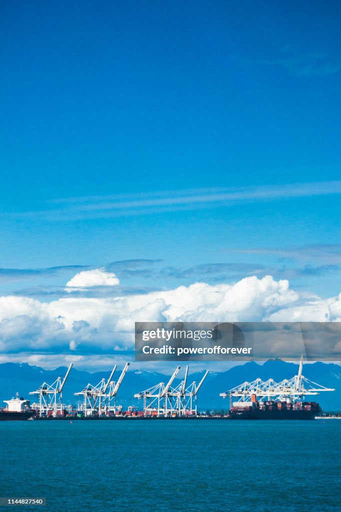 De kranen van de brug in de haven van Vancouver in Brits Colombia, Canada