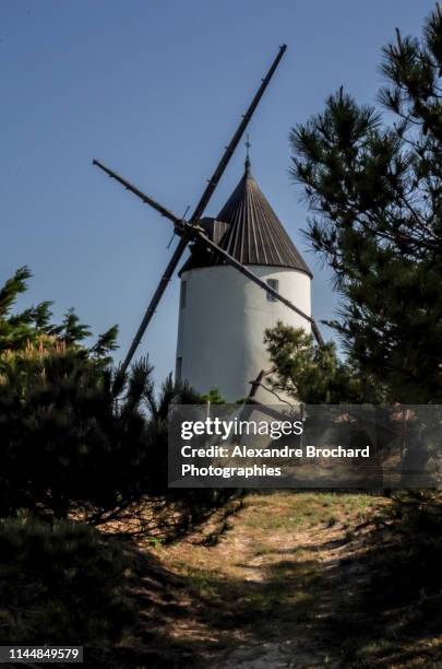 moulin de noirmoutier - noirmoutier stock-fotos und bilder