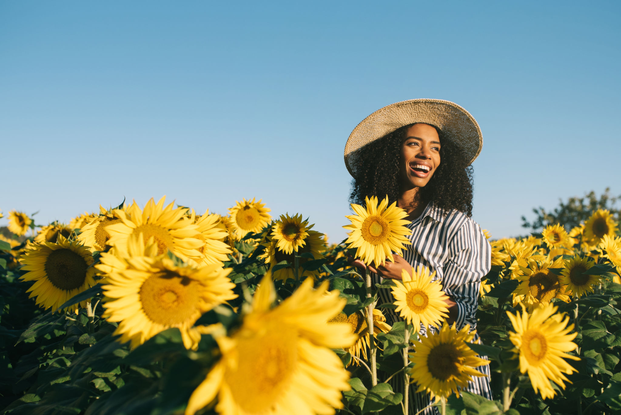 Happy young black woman in a sunflower field Happy young black woman in a sunflower field