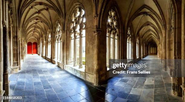 cloister of the dom church, utrecht, the netherlands - utrecht stock-fotos und bilder