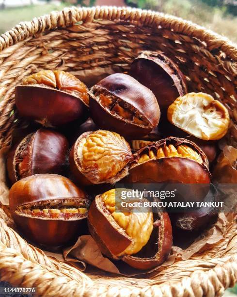 chestnuts in the basket - chestnut stock pictures, royalty-free photos & images