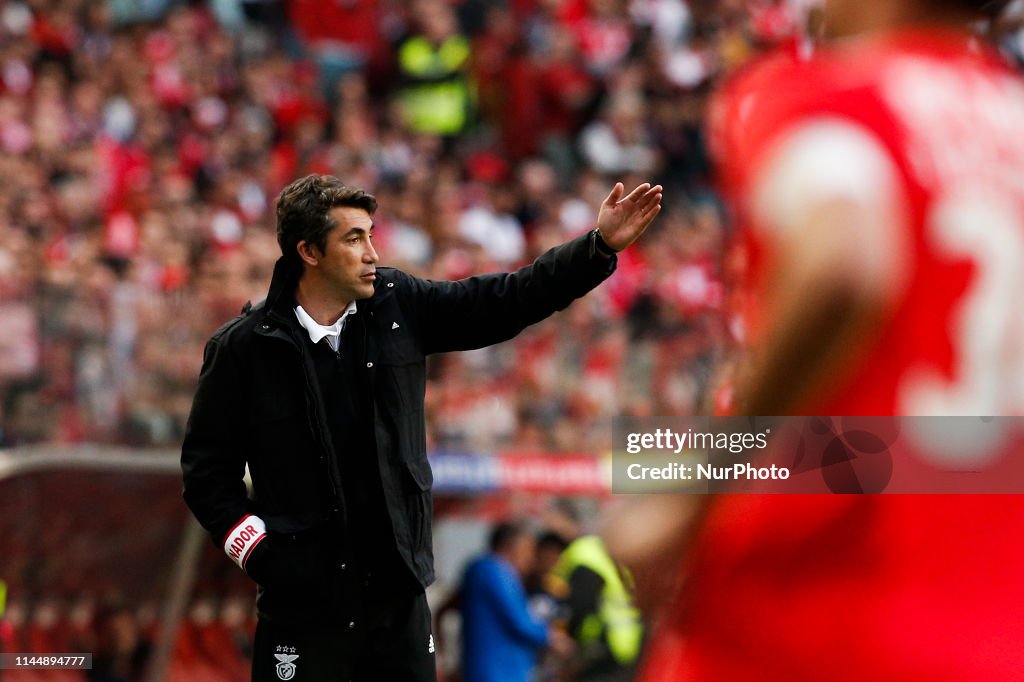 SL Benfica v Santa Clara - Primeira Liga