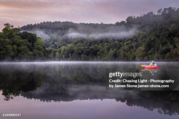 a girl enjoys a tranquil paddle in a kayak at dawn down a flat river with reflections of misty rainforest and mountain scenery - tasmania landscape stock-fotos und bilder